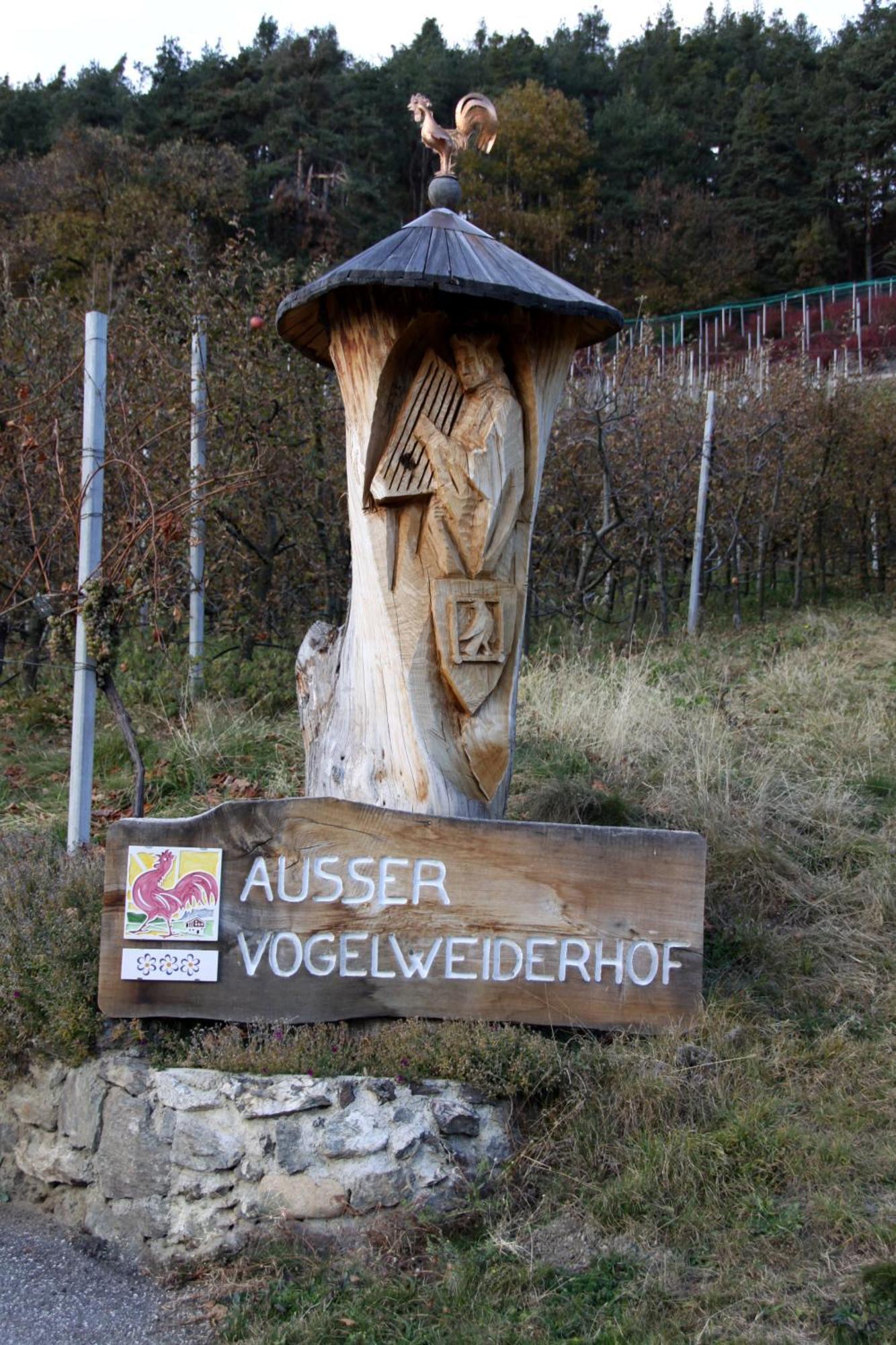 لايون Ausservogelweiderhof المظهر الخارجي الصورة